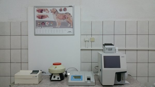 Acum Vet - Cabinet veterinar